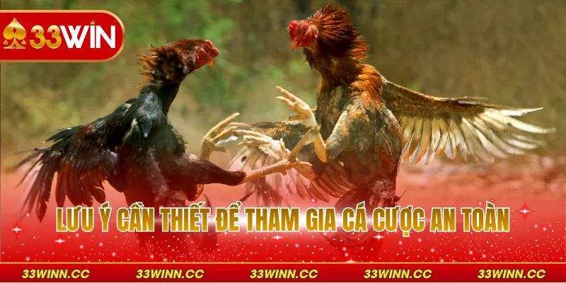Lưu ý cần biết trước khi tham gia cá cược an toàn